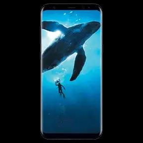Samsung Galaxy S8